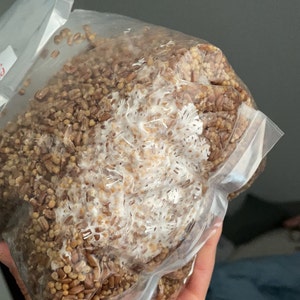 DKTantalus added a photo of their purchase
