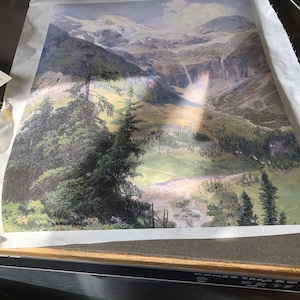 Charlie added a photo of their purchase