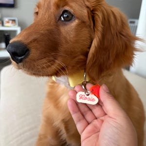 Gowthami added a photo of their purchase