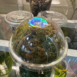 Sumi ha añadido una foto de su compra