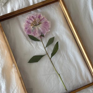 Vendela added a photo of their purchase