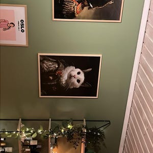 Andrea added a photo of their purchase