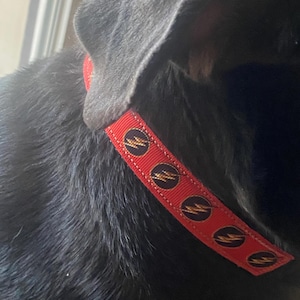 Janet added a photo of their purchase