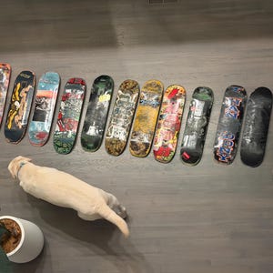 Kristen added a photo of their purchase