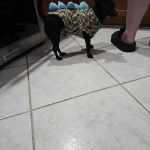 canis added a photo of their purchase