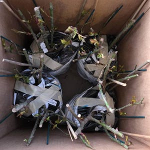 Erin added a photo of their purchase