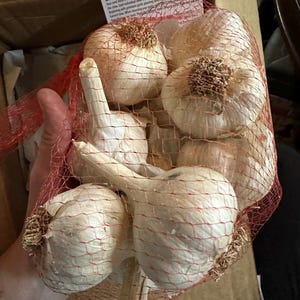 Marina adicionaram uma foto da sua compra