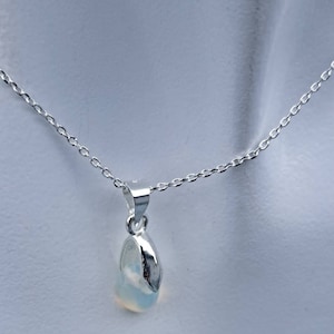 Viola added a photo of their purchase