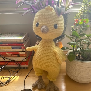 Amanda added a photo of their purchase