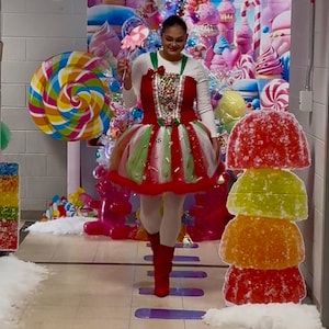 Adult Christmas Candyland Costume Tutu Dress - Etsy