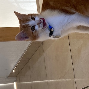 Cami ha añadido una foto de su compra