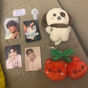 KPOP Animal Bias Plushie - Etsy
