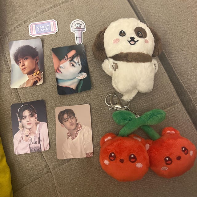 KPOP Animal Bias Plushie - Etsy