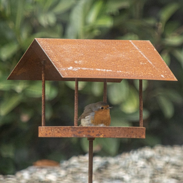 Mangeoire à oiseaux sur piquet de jardin en métal, rouille
