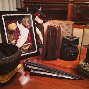 Samuele added a photo of their purchase