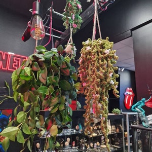 Leeloo added a photo of their purchase