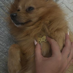 Chloe added a photo of their purchase
