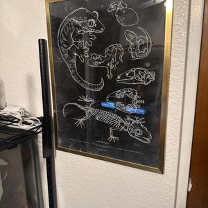 Kaitlin added a photo of their purchase