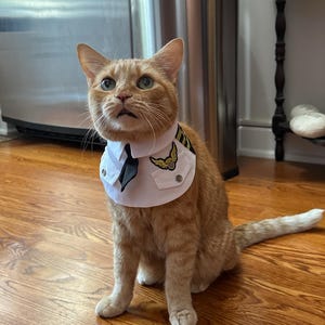 Joseph added a photo of their purchase