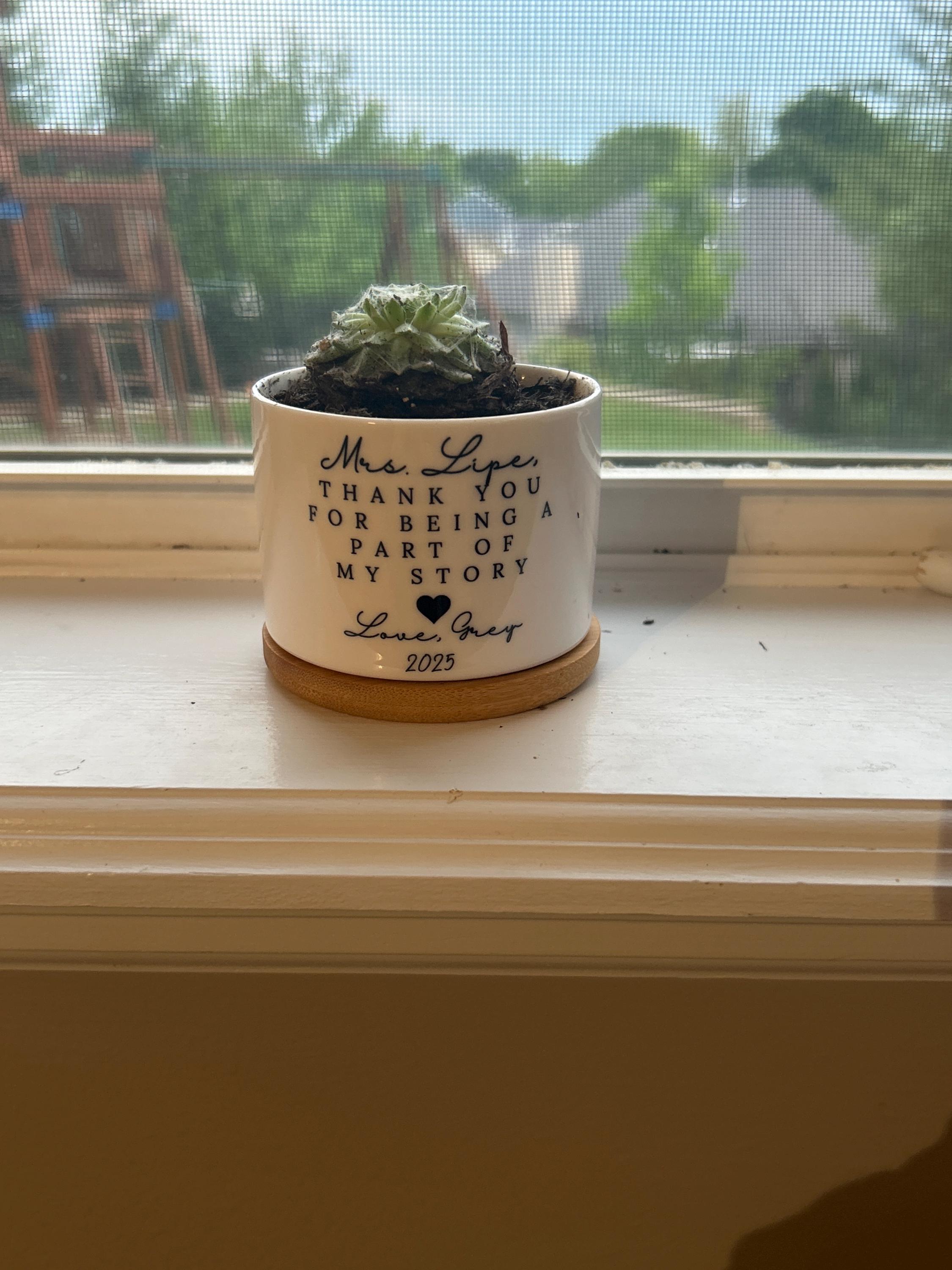 Thank you Gift for Teacher, End of Year Gift, Personalized Planter, Teacher Appreciation, Desk Planter, Custom Succulent Pot, Teacher Gift