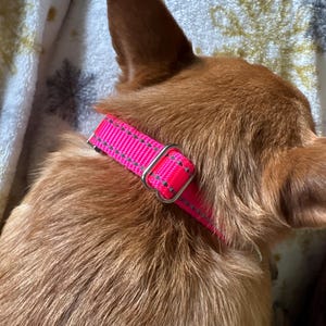 Candice added a photo of their purchase