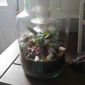 kelly a ajouté une photo de son achat
