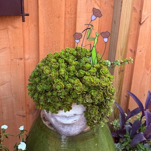 larri added a photo of their purchase