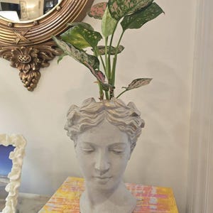 K added a photo of their purchase