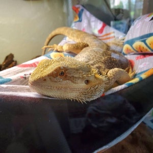 Toby added a photo of their purchase