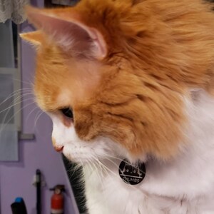 Jessica heeft een foto van de aankoop toegevoegd