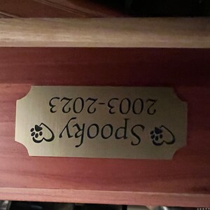 Custom Engraved 1x3 Plate W/ Mounting Holes Adhesive Backing - Etsy