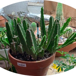 Boyd added a photo of their purchase