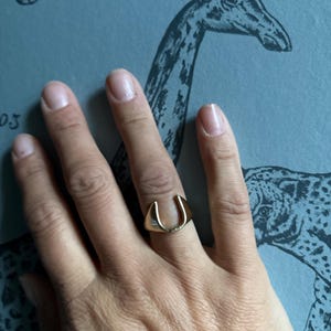 Genevieve added a photo of their purchase