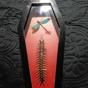 Tracey added a photo of their purchase