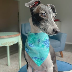 Anne added a photo of their purchase