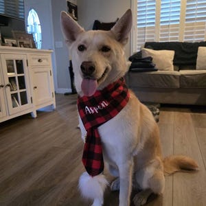 Tracy added a photo of their purchase