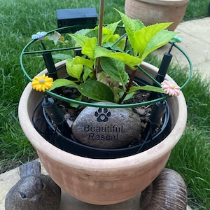 Oksana added a photo of their purchase