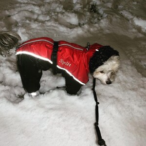 CUSTOM FIT Dog Winter Clothes Custom Snowsuit Winter Full Body