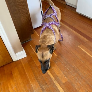 Ally さんが購入した商品の写真を追加しました