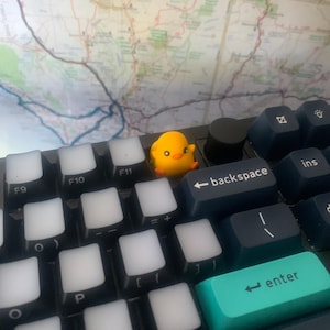 David adicionaram uma foto da sua compra