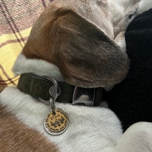 Ashley added a photo of their purchase