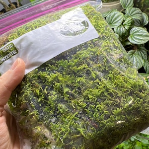 Patricia added a photo of their purchase