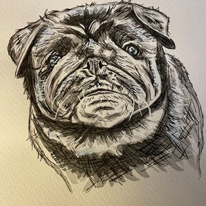 Custom Hand Painted Watercolour Pet Portrait | Dog, Cat, Bird, Horse Artwork | Painting from Photo | Personalised Gift | Pet Memorial