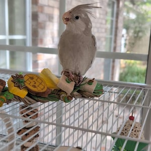 Holly added a photo of their purchase