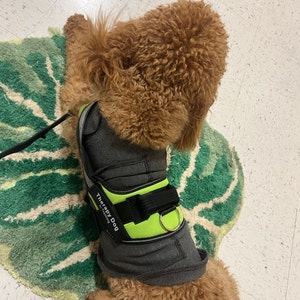 Courtney added a photo of their purchase