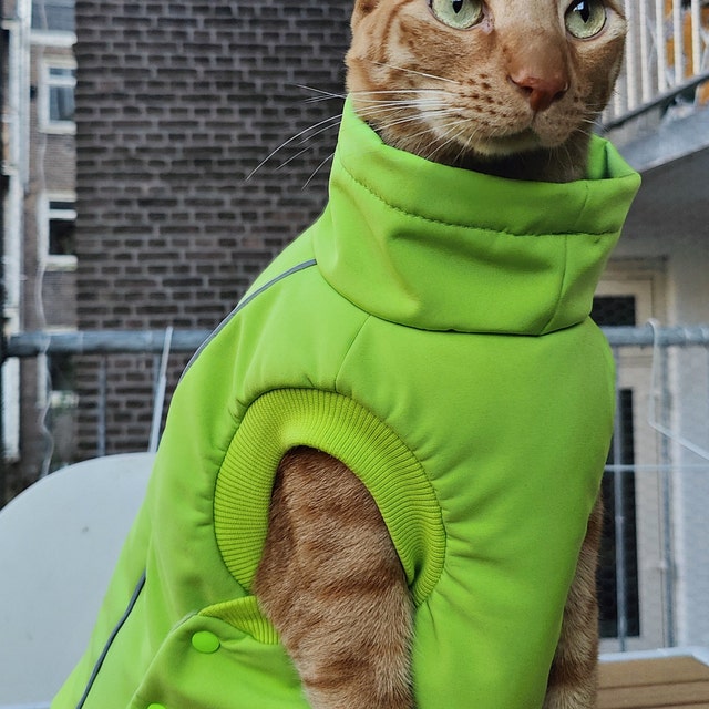Warm Softshell Adventure Cat Jacket With Polar Fleece Inner 