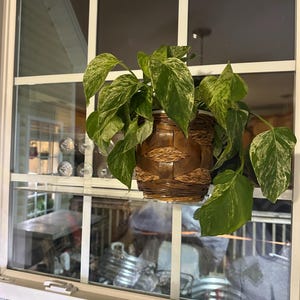 Jami added a photo of their purchase