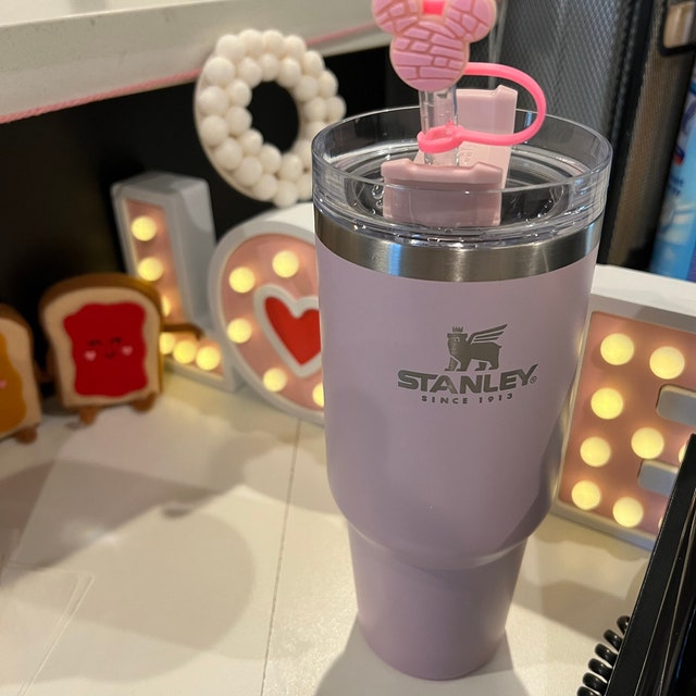 disney stanley straw topper｜TikTok Search