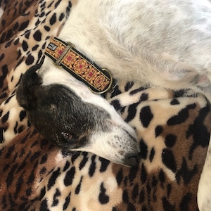 Diane added a photo of their purchase