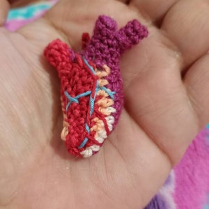 Xochitl added a photo of their purchase